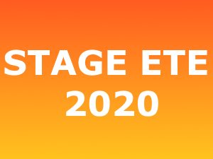 Stage d’été 2020