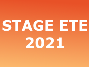 Stage d’été 2021